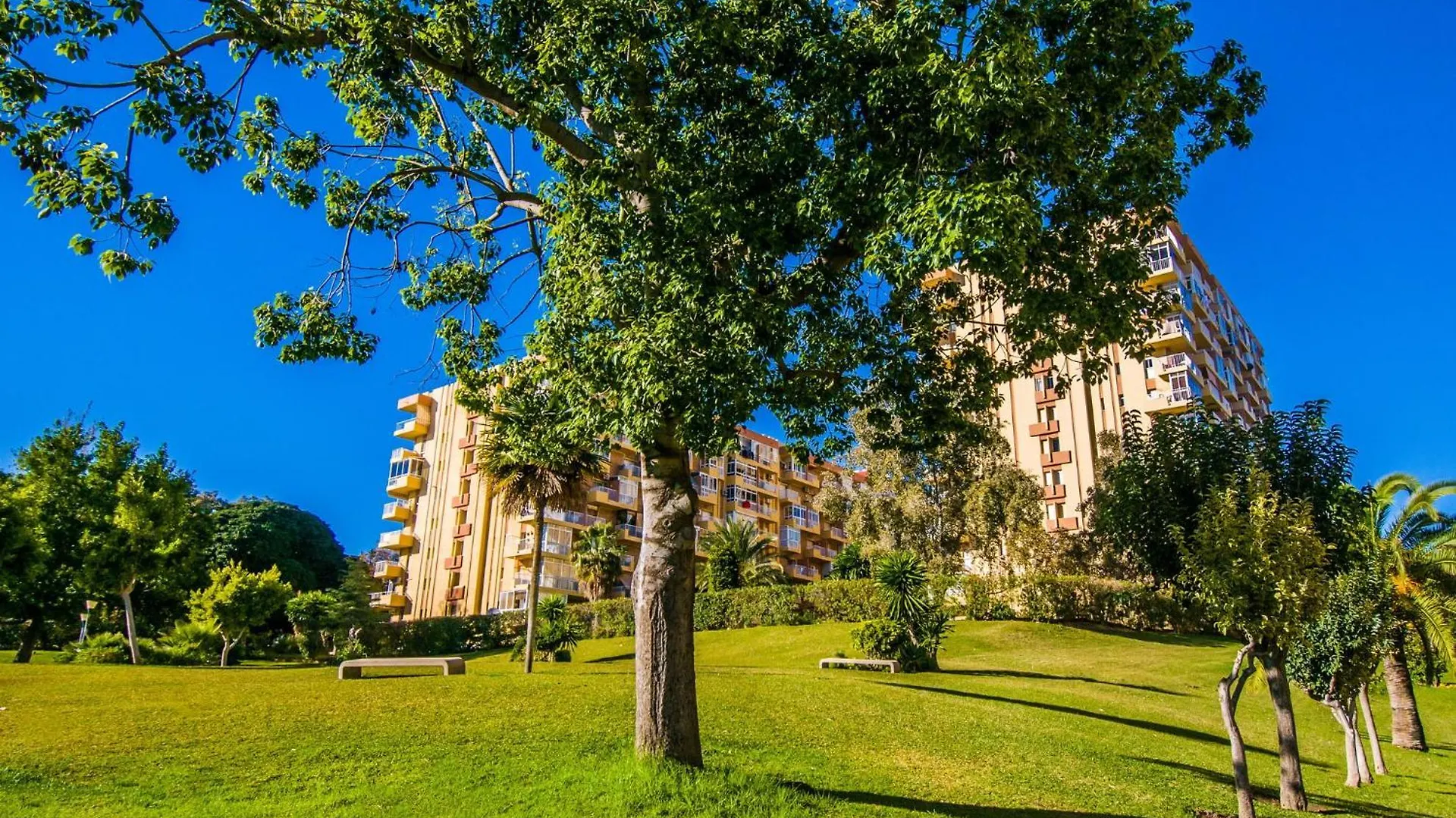 135 Jupiter Apartamentos Estudio - Piscina - Playa A 600 Metros ベナルマデナ